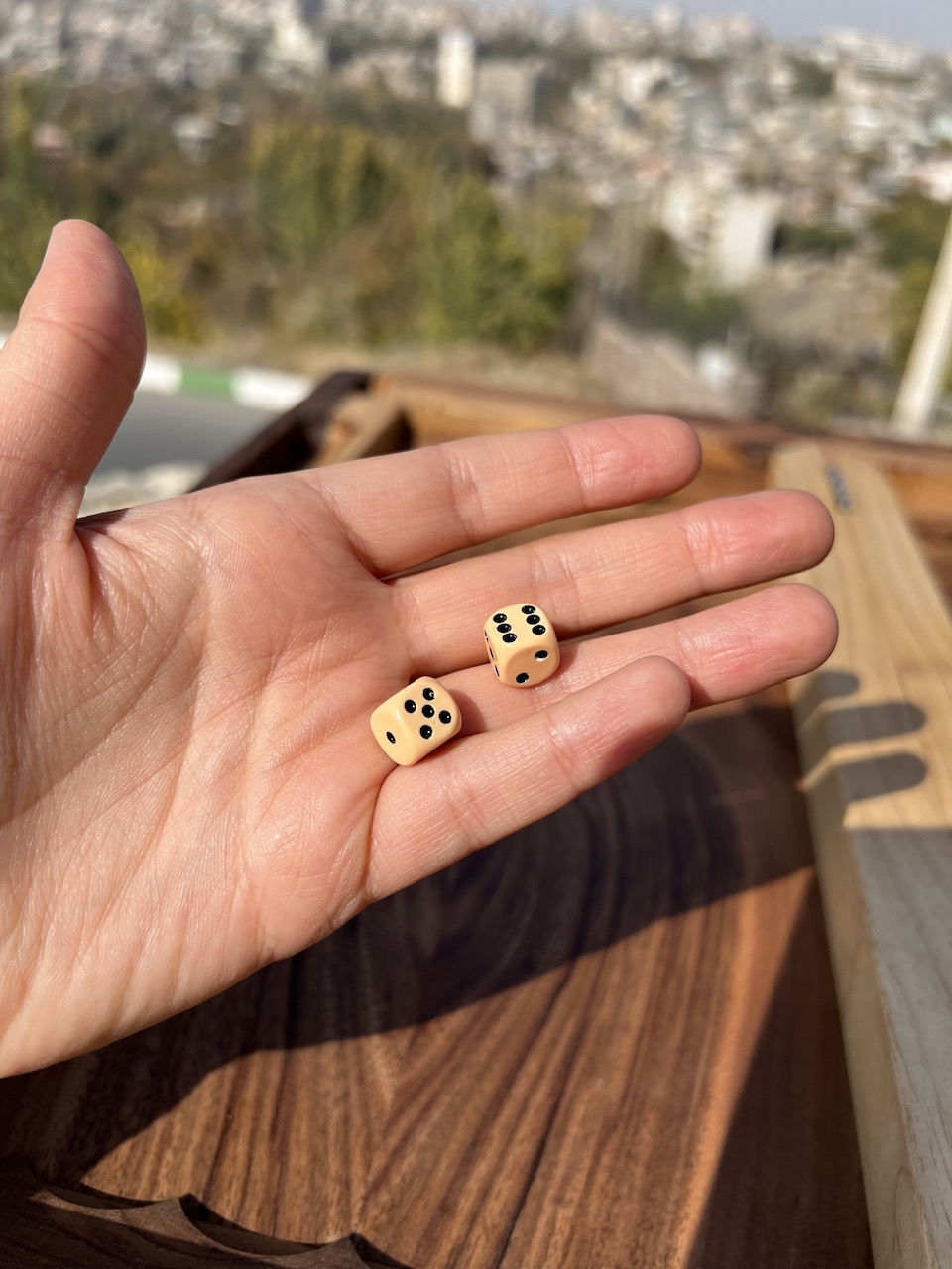 تاس المانی تاس کامپوزیت