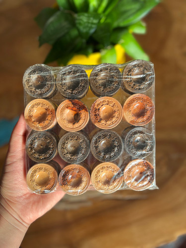 خرید مهره تخته نرد چوبی سایز تخته ۶۰ سانت