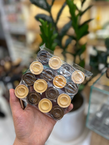 خرید مهره تخته نرد چوب گردو و گلابی