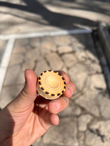 خرید مهره تخته نرد چوب گردو سوخته کاری شده